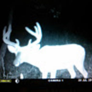 Meet your Posher, Dryden